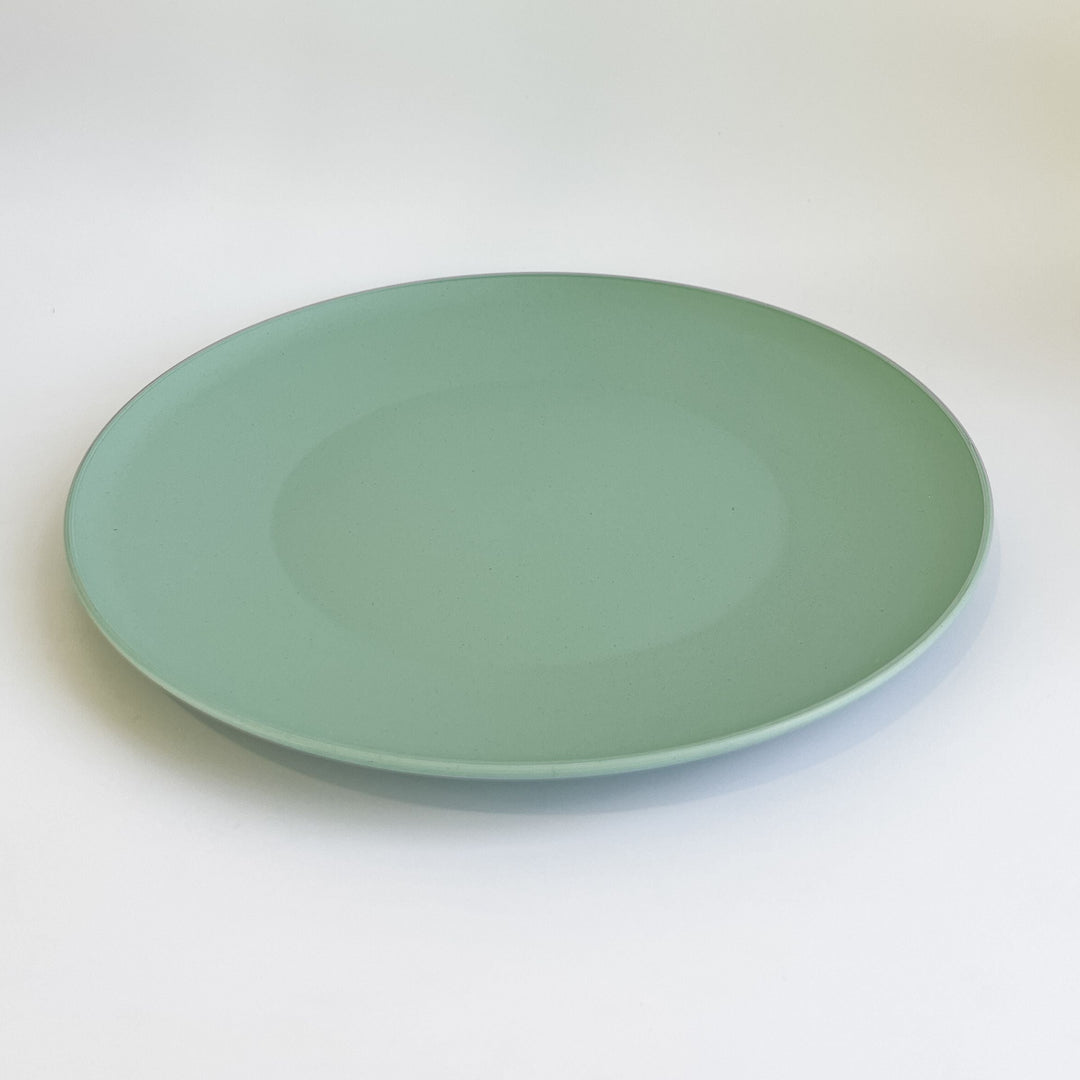 Plant Based Dinner Plate